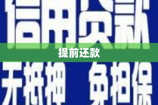 埔心提前还款