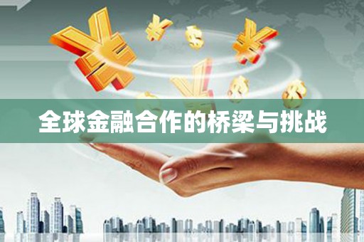 埔心全球金融合作的桥梁与挑战