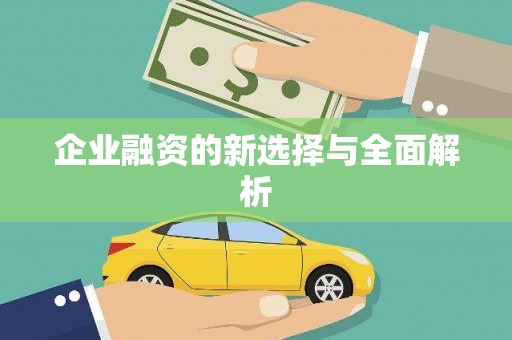 埔心企业融资的新选择与全面解析