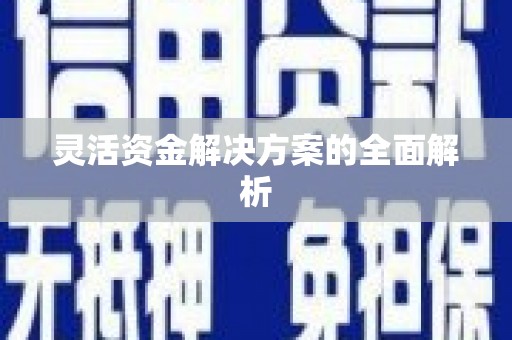 埔心灵活资金解决方案的全面解析