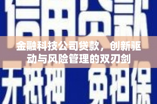 埔心金融科技公司贷款，创新驱动与风险管理的双刃剑