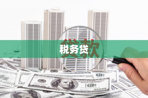 埔心税务贷